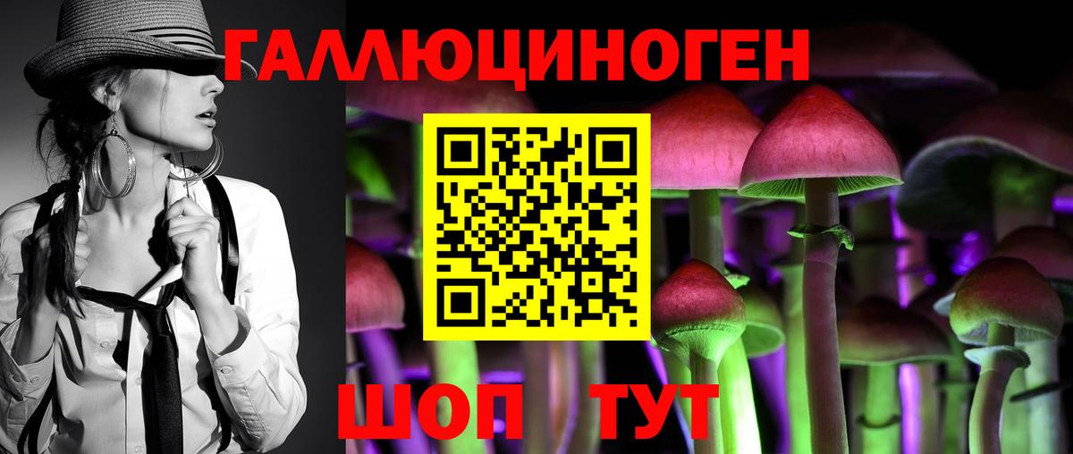 Галлюциногенные грибы GOLDEN TEACHER  даркнет сайт  Россия  Вход с VPN  Псилоцибиновые грибы прущие грибы 